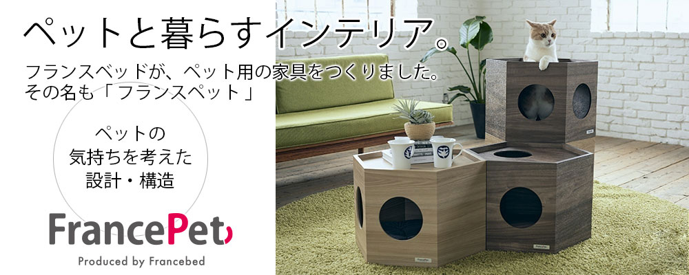 ARIZONA 本格派木製インテリア仕様 スニーカーボックス fy